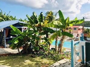 Swimming pool view