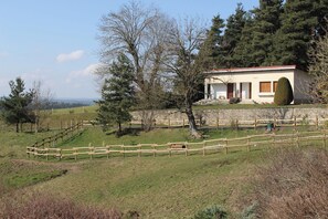 Front view