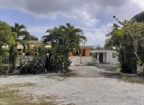 Front view