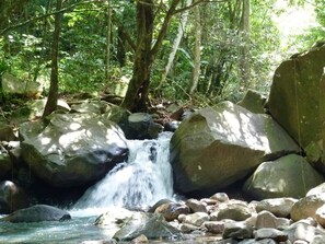 Vista del área