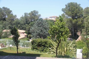 Areal view
