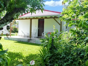 Front view