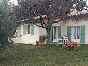 Front view