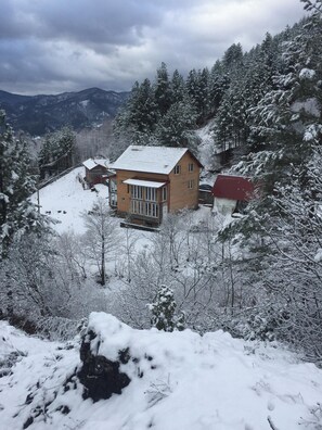 Mountain view
