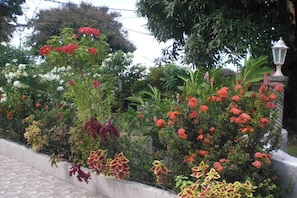 Jardin