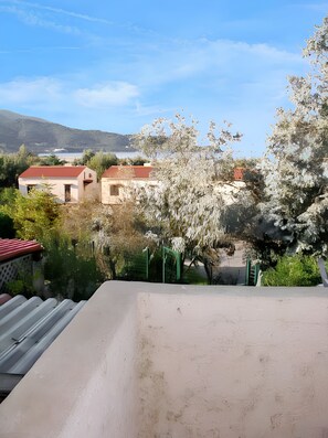 Areal view