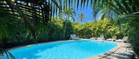 Swimming pool view