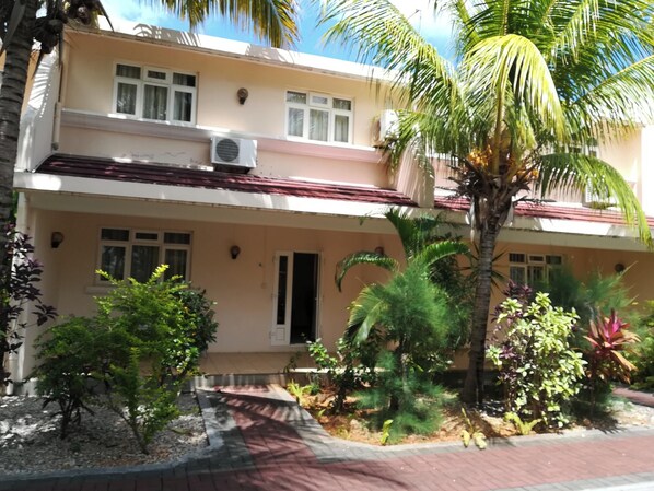 Front view