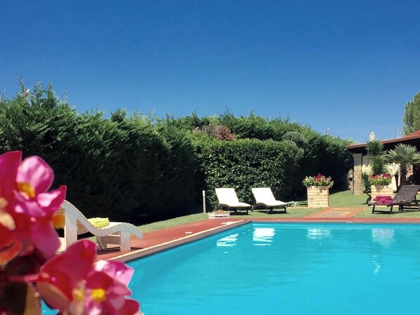 Swimming pool view