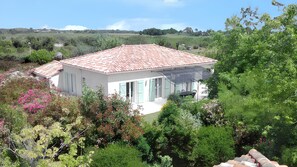 Front view