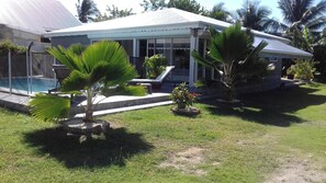 Back view