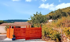 Back view