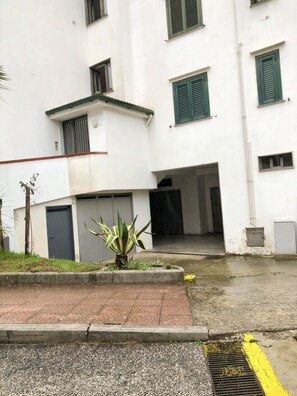 Front view