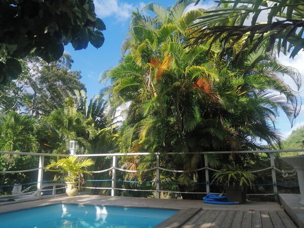 Swimming pool view