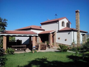Back view
