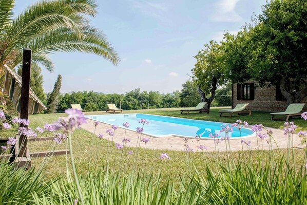 Swimming pool view