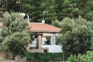 Front view