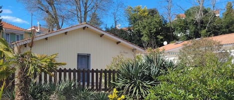 Front view