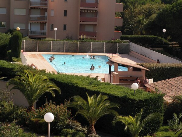 Swimming pool view