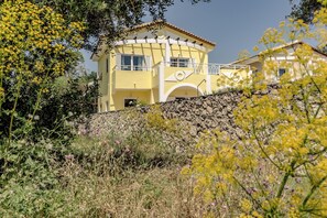 Front view