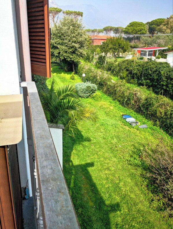 Areal view