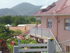 Front view