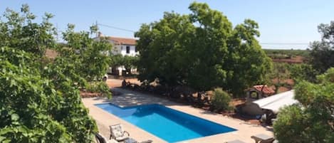 Swimming pool view