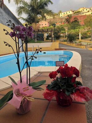 Swimming pool view