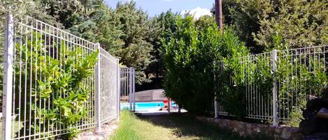 Swimming pool view