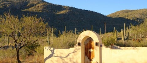 Front gate to the front yard