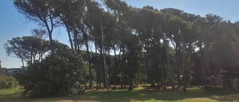 Parco della struttura