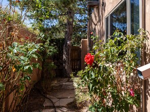 Backyard Walkway