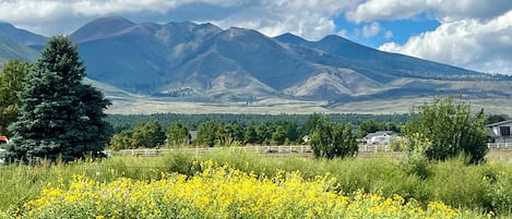 Stunning Mountain View’s