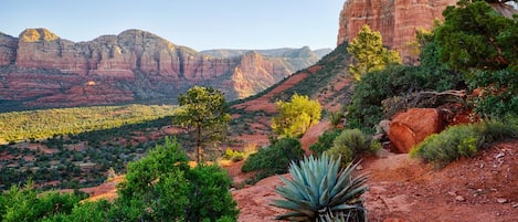 Stunning red rock formations, vibrant sunsets and picturesque landscapes.