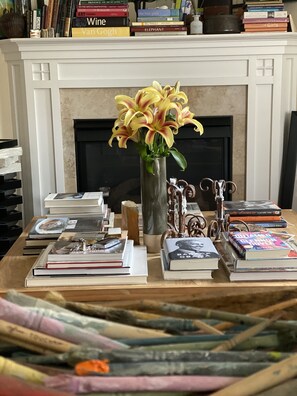 ARTIST COLLECTION OF BOOKS...FUN TO LOOK AT NEAR THE COZY FIREPLACE