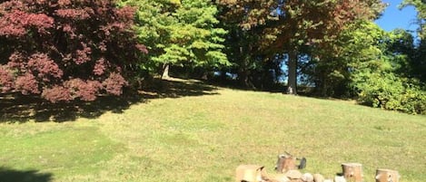 Beautiful tree-lined backyard