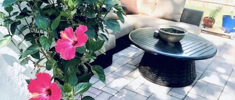 Terraza o patio