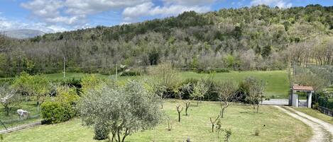 Vista esterna della struttura