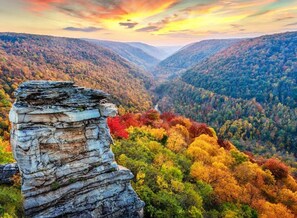 Dolly Sods - plenty of great hikes of all levels in the area! 