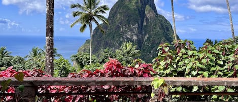 view from terrace