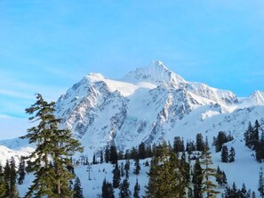 Mt. Baker Ski Area. Just 30 minutes from the condo.