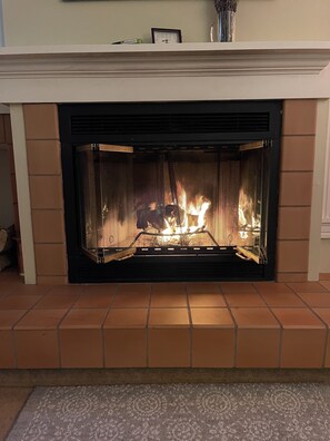 Wood burning fireplace
