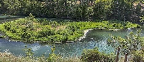 Cousins River Sanctuary is situated on the banks of the San Marcos River