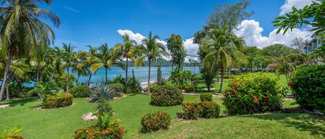 Lush, well kept, and fresh - Enjoy a paradise filled with palms and beach access, right from the comfort of our home base!