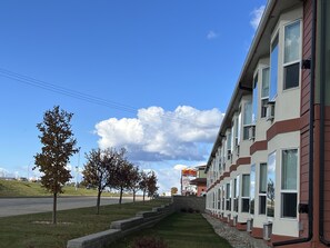 Exteriör