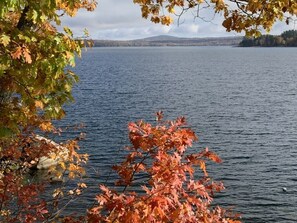 Calming lake views