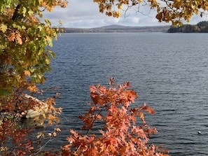 Calming lake views