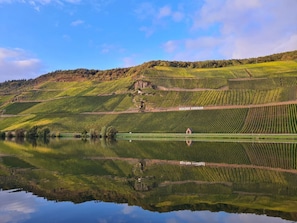 Sonnenufer Apartment und Moselwein