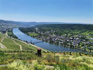 Sonnenufer Apartment und Moselwein