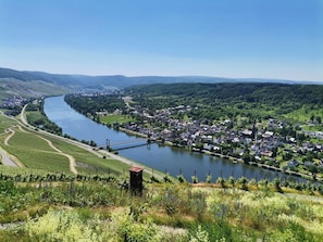 Sonnenufer Apartment und Moselwein